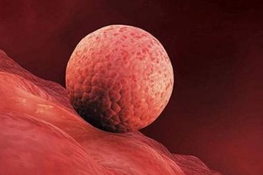 深圳私立医院做三代试管高成功率生孩子是不是骗局（附真实经验分享）