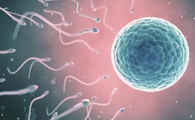 辽宁大连助孕公司大全，附助孕机构排名一览