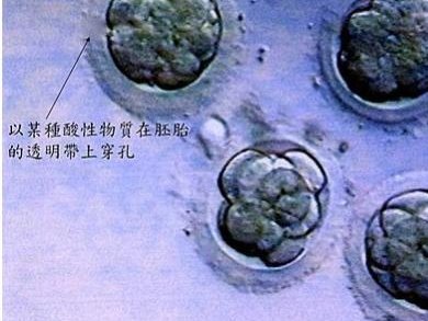 2026年青海省西宁市十大最火私立助孕机构一览，助力不孕家庭！